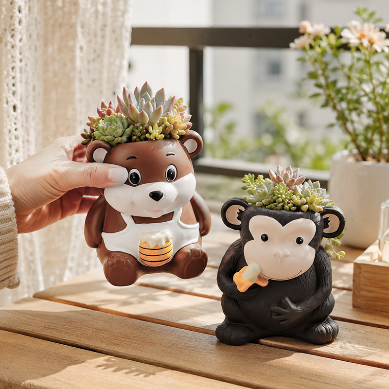 2026 New Apron Bear Succulent  - Echeveria Succulent ulasan dan harga